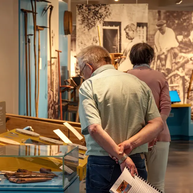 visite des collections