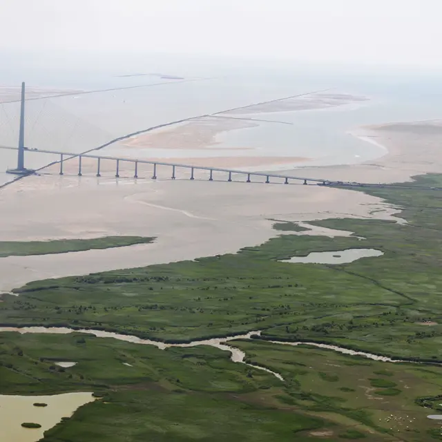 Vue générale embouchure