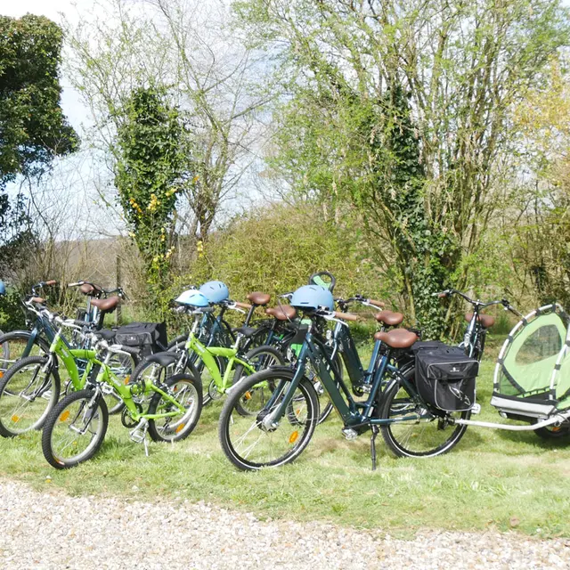 Locations de vélos - Panda Motion