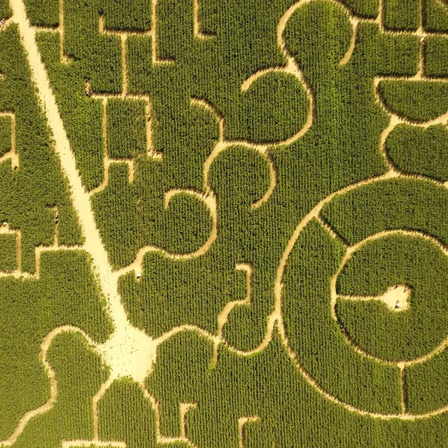 Labyrinthe de l'Estuaire