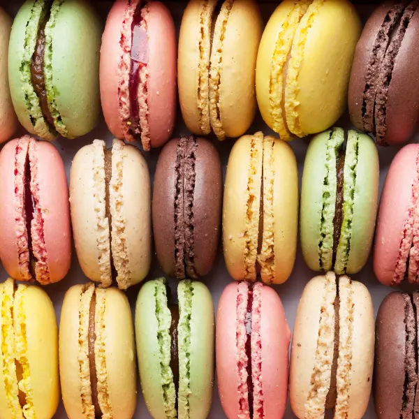 Atelier macarons la forêt des macarons à Clères