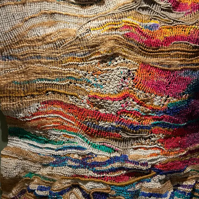 Textilienne et filambule