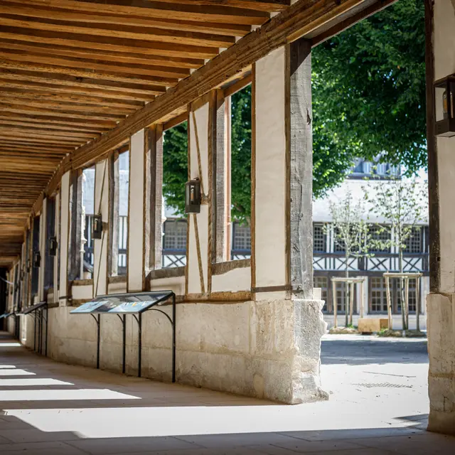 AA_MRN_20-06-24_Rouen Aître Saint-Maclou_0635©MRN-AAubry