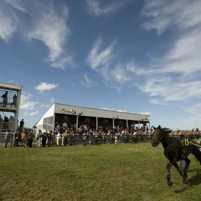 Courses hippiques sur l'hippodrome
