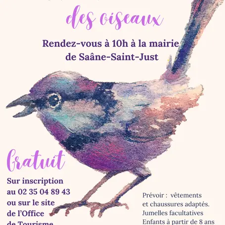 A LA DECOUVERTE DES OISEAUX