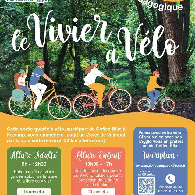 Le vivier à vélo