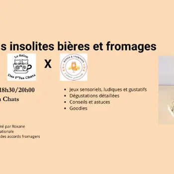 Accords insolites bières et fromages