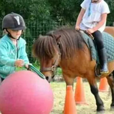 Activite-poney---Ferme-de-Gerval