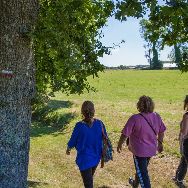 Randonnée dans le pays de Caux