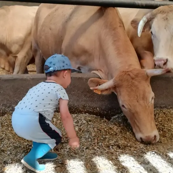 Aliment-vache (800x600)