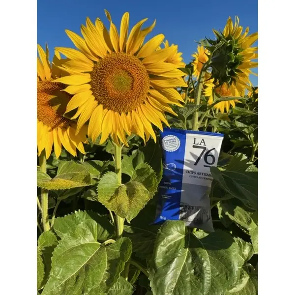 Allouville-Bellefosse_ChipsLa76©F.Loobuyck