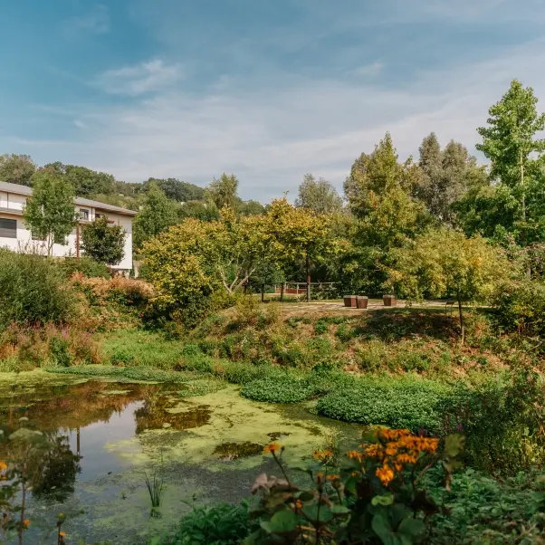 Archipel des eaux mêlées Duclair