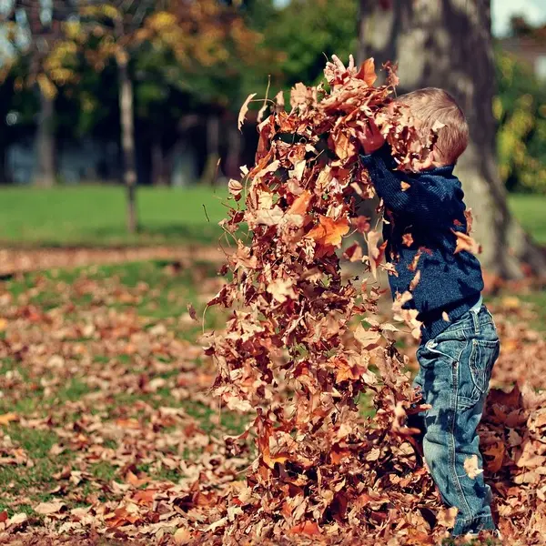 Atelier petite enfance - L'automne