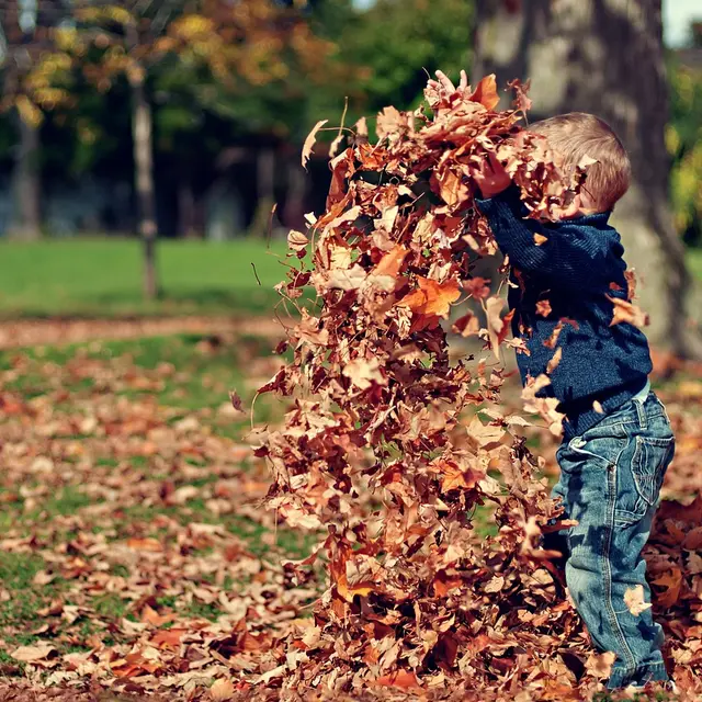Atelier petite enfance - L'automne