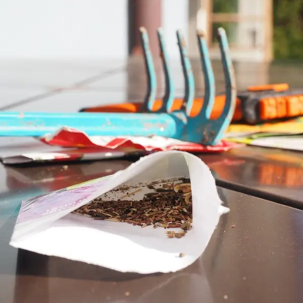 Atelier petite enfance - Semer les graines