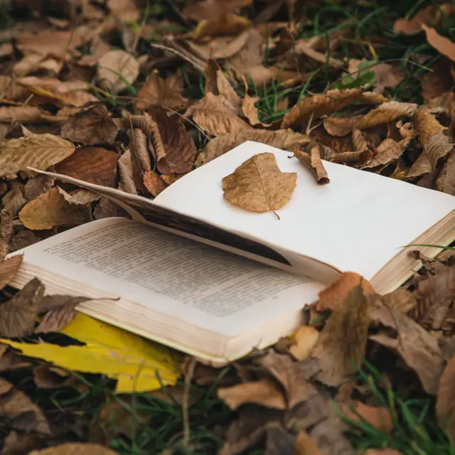 Automne