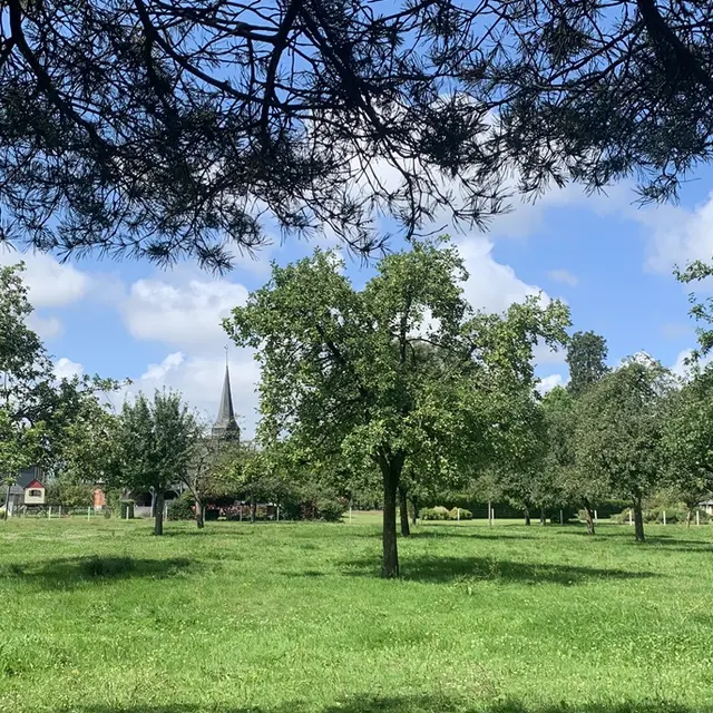 Au marché d'Adrien, vergers © A Varnier