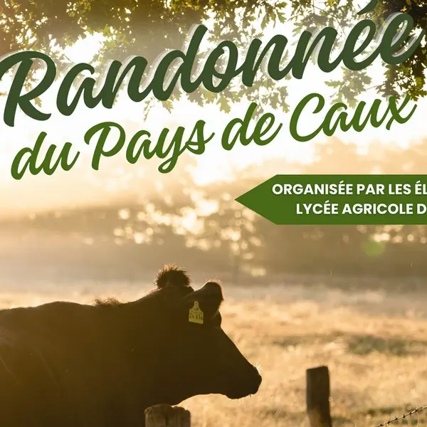 Autretot_RandonneePaysDeCaux©LyceeAgricoleYvetot-2025