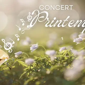 Bandeau Newsletter  - 10