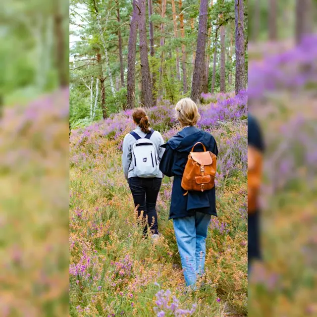 Balade sensorielle_Rando'Nez_PMR