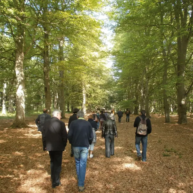 Bois de l'Epinay - 119
