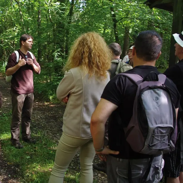 Bois des Communes