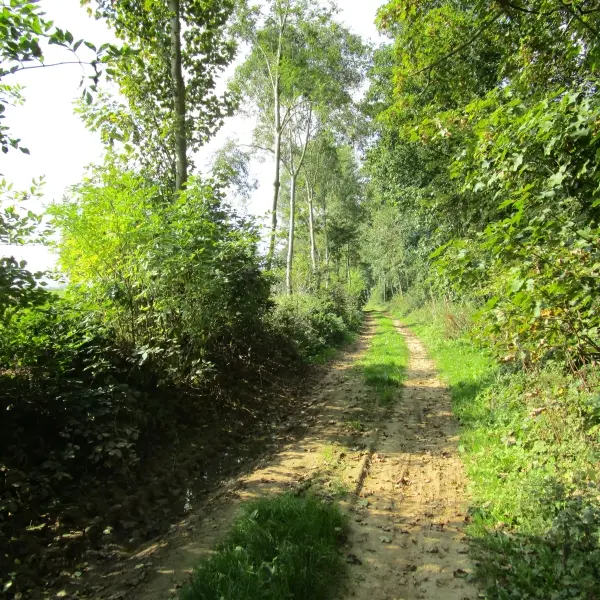 Boucle de randonnée La Bichotterie