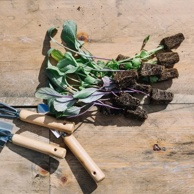 Brocante de jardin
