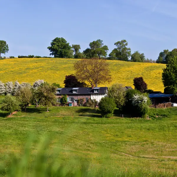 Pays de Bray (800 x 600)
