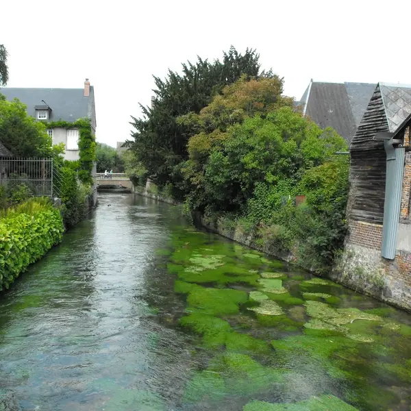 Cany au fil de l'eau - Cany Barville (2)