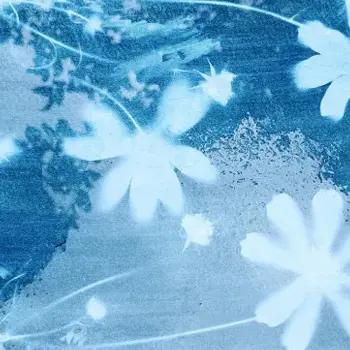Atelier famille : Cyanotype pour enfant