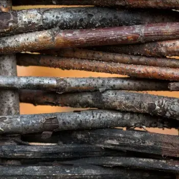 Atelier créatif : Tressage naturel