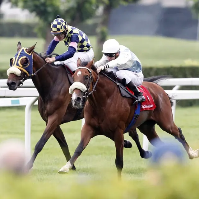 course hippique