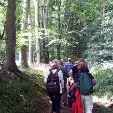 Randonnée sur le Plateau de Caux