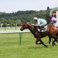 Course hippique