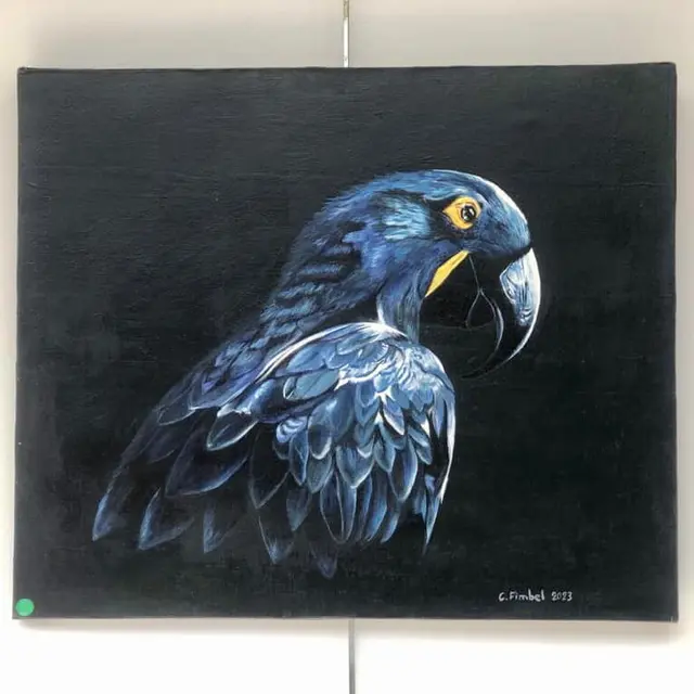 Celine Fimbel Art