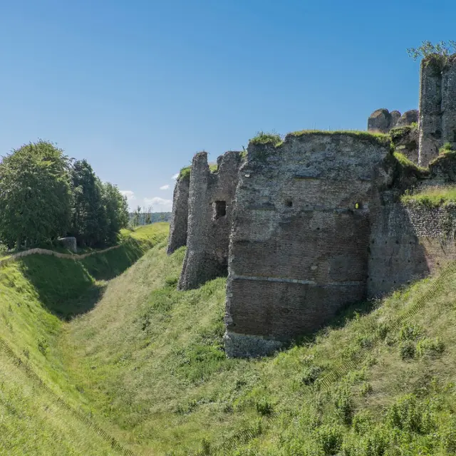 Château Féodal - Arques-la-Bataille ©Eric-Benard