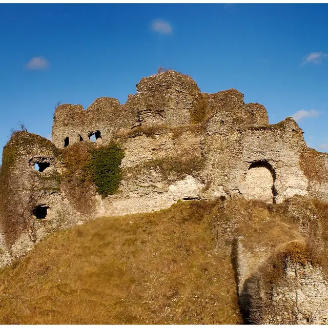 Château d'Arques © Yann Pelcat (1)