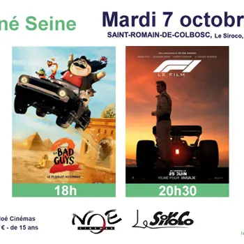 Ciné Seine - Saint-Romain-de-Colbosc - 07-10
