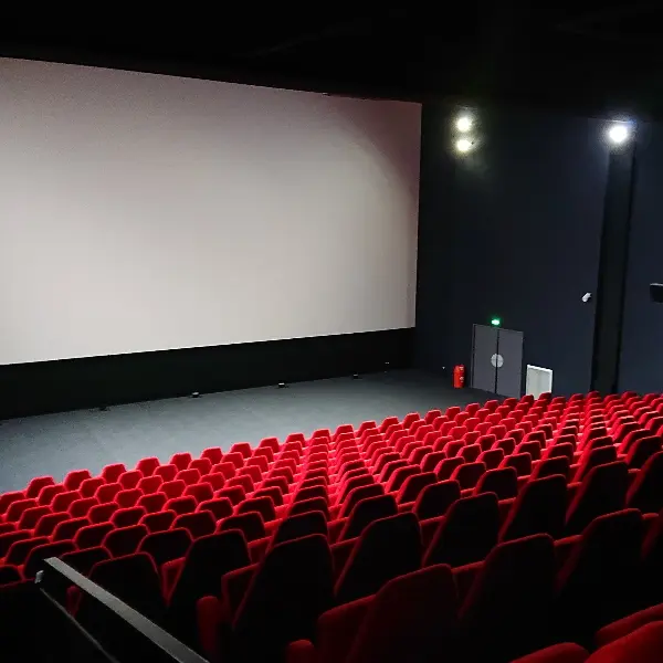 CINEMA LE GRAND LARGE - FECAMP