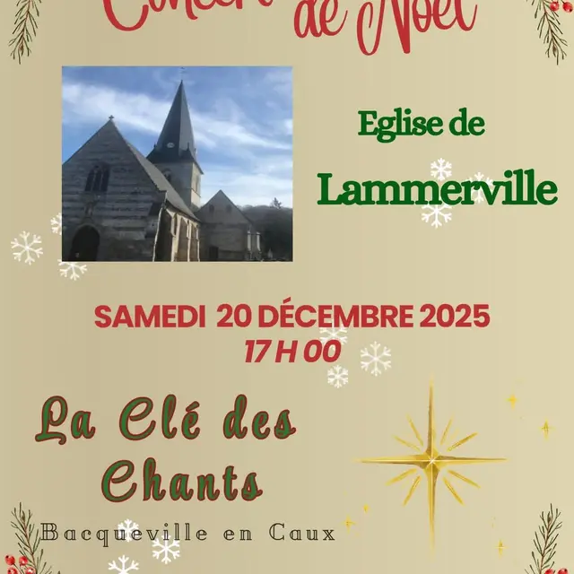 Concert de Noel Lammerville