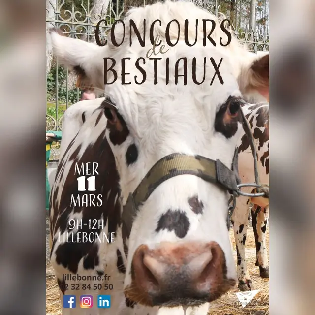 Concours bestiaux-lillebonne-mars-26 (1)