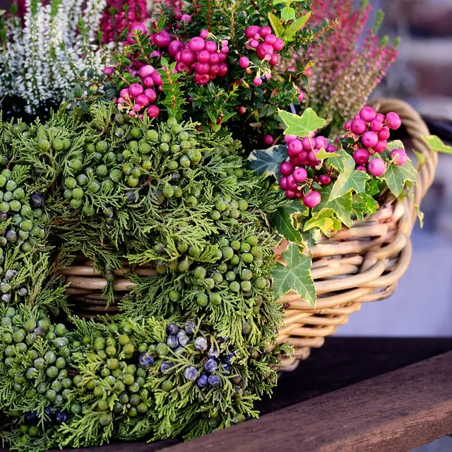 Couronnes de fleurs