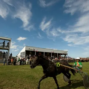 Courses hippiques Bacqueville en Caux