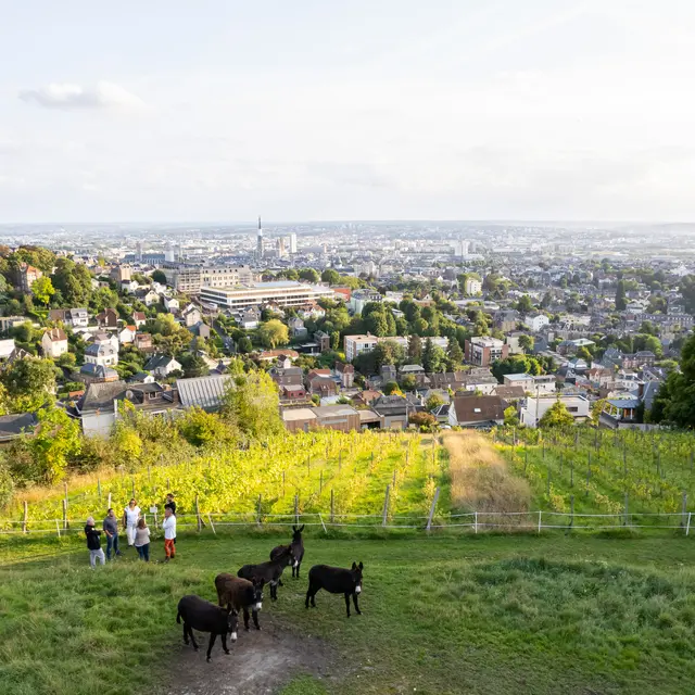DJI_0014-JPEG_HD_300_Dpi
