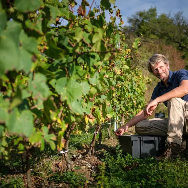DOMAINE ST EXPEDIT 3