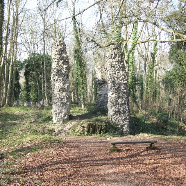 Escape Game au coeur du Bois de Bernouville [3èmes Rencontres de la Biodiversité