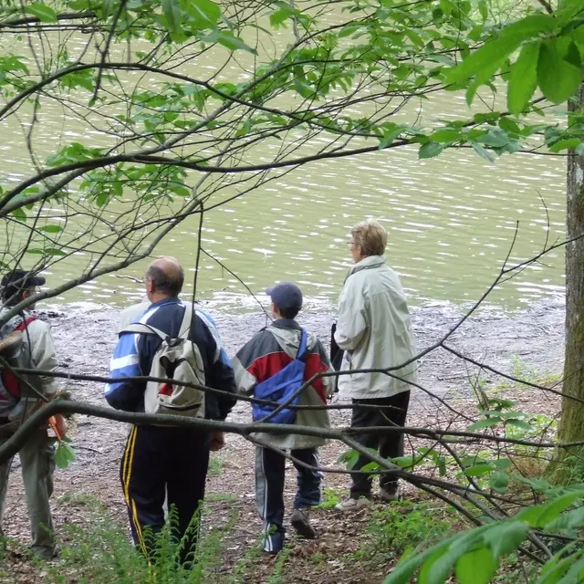 Randonnée nature : Bois de l'epinay - Forges-les-aux