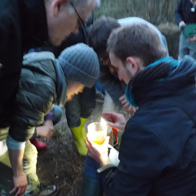 Nocturne au Bois des Communes