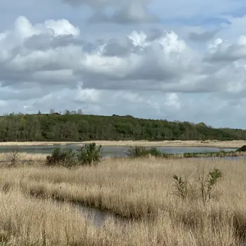 Découverte marais du Hode